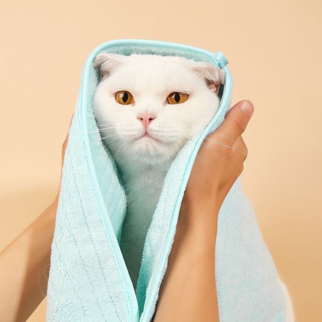 Hygiene Tips for Dogs and Cats