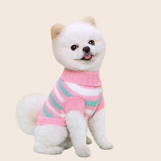 Sophie Dog Outfit