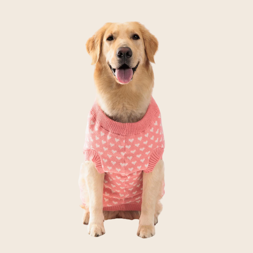 Olivia Sweater for Dogs