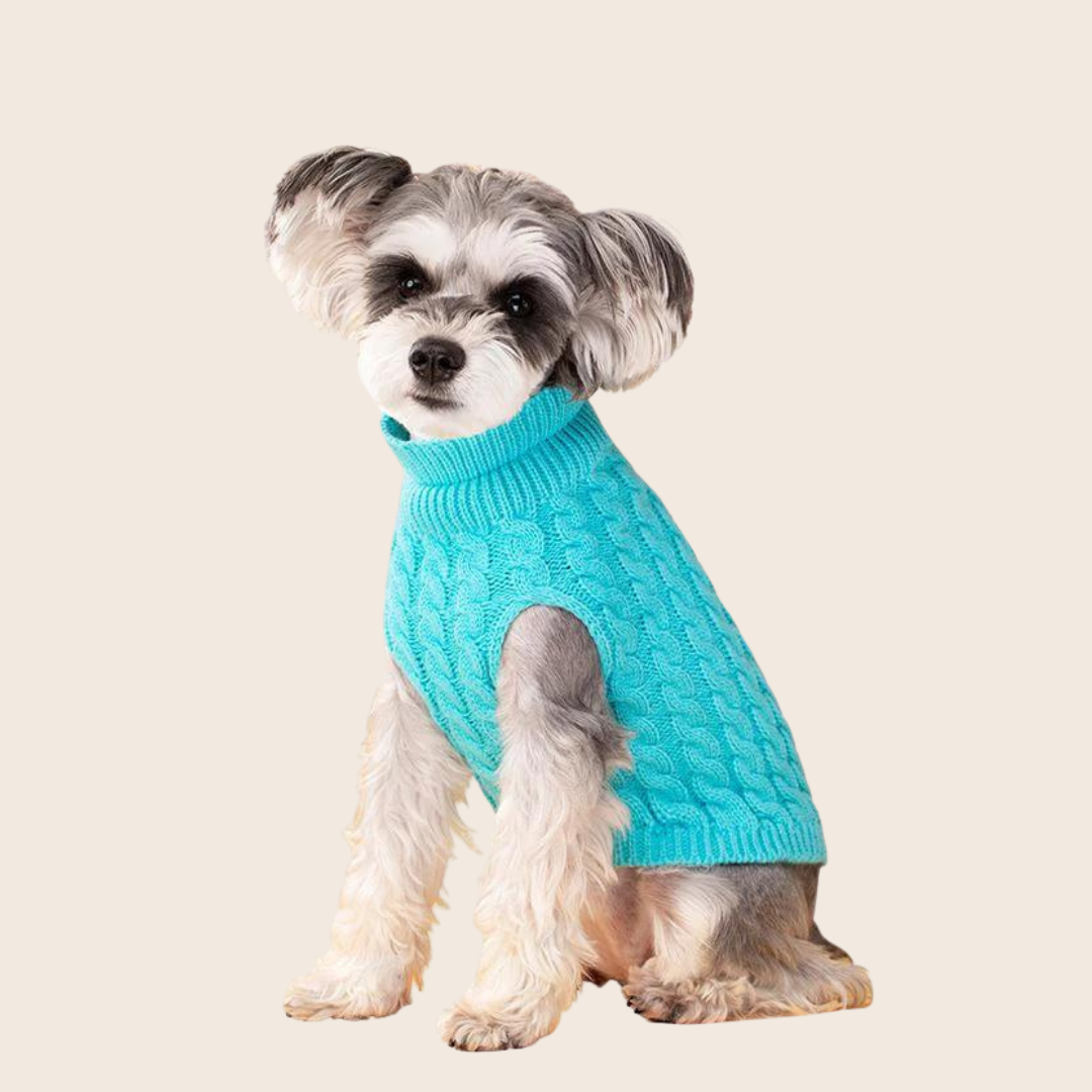 July Sweater for Dogs