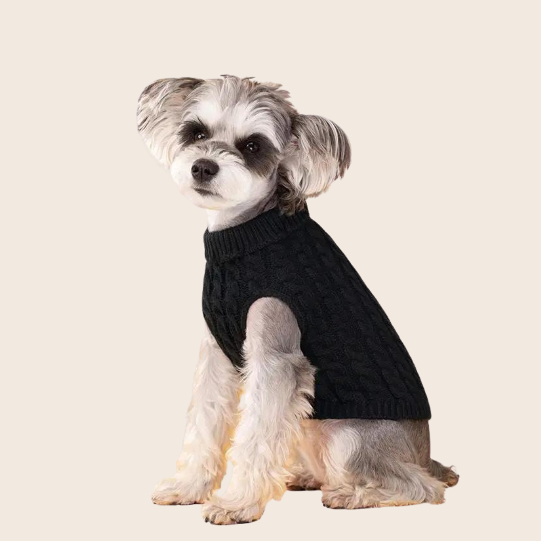 July Sweater for Dogs