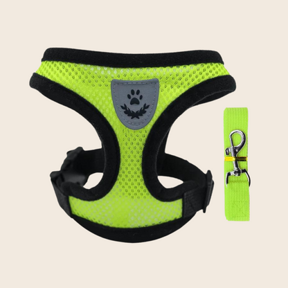 Julie Dog Harness Collar