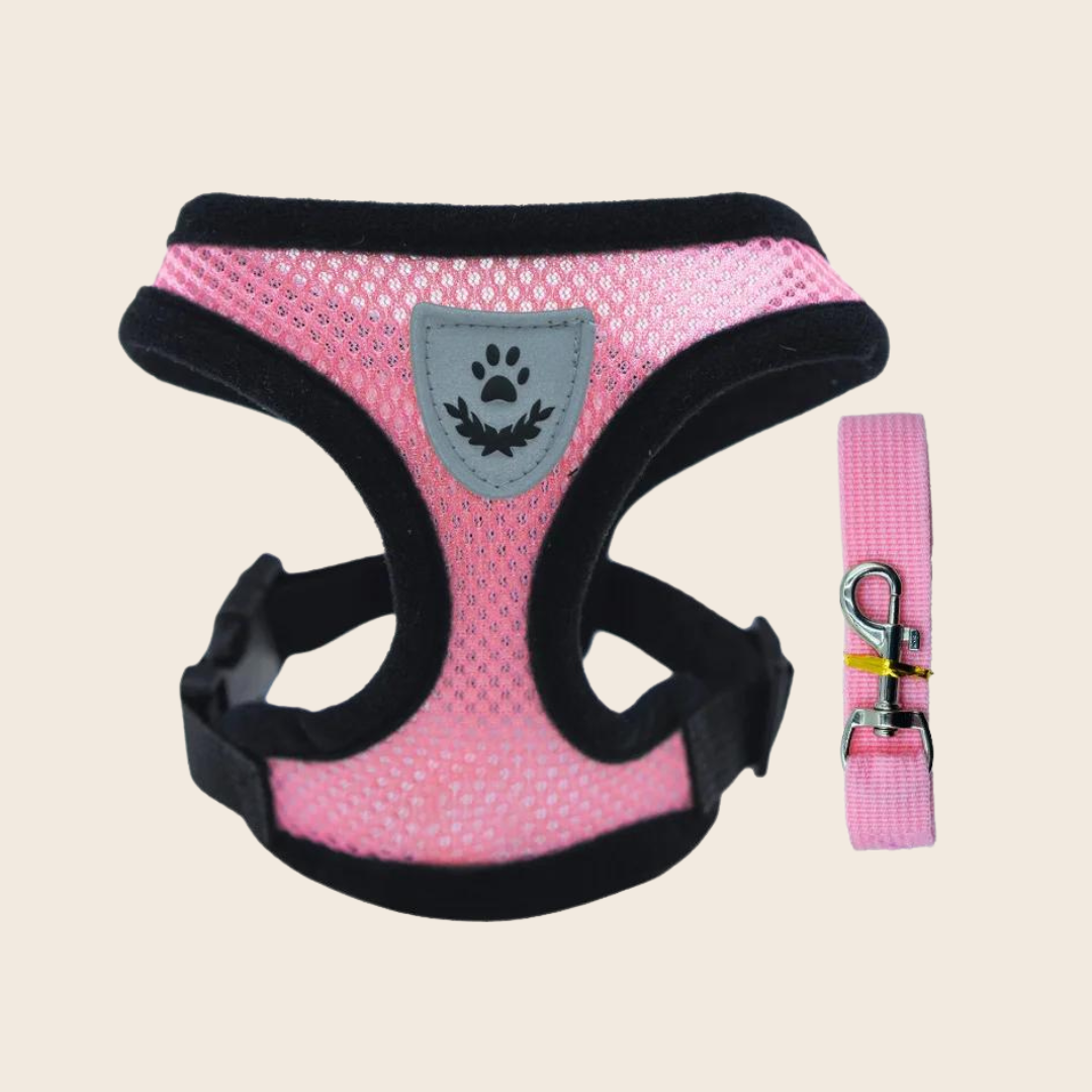 Julie Dog Harness Collar