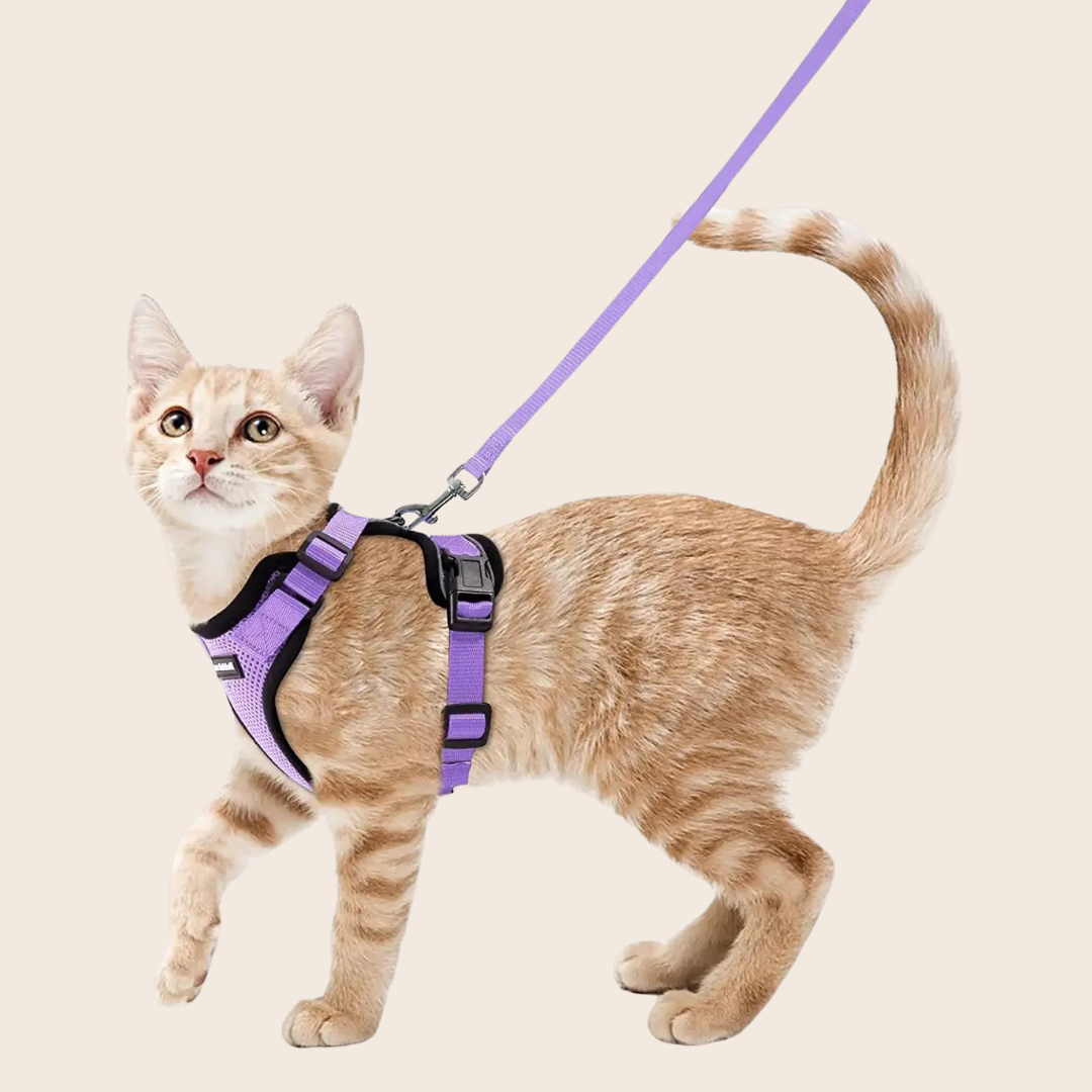 Atuban Cat Collar