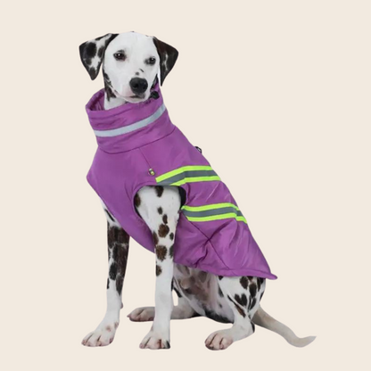 Winter Jacket for Dogs