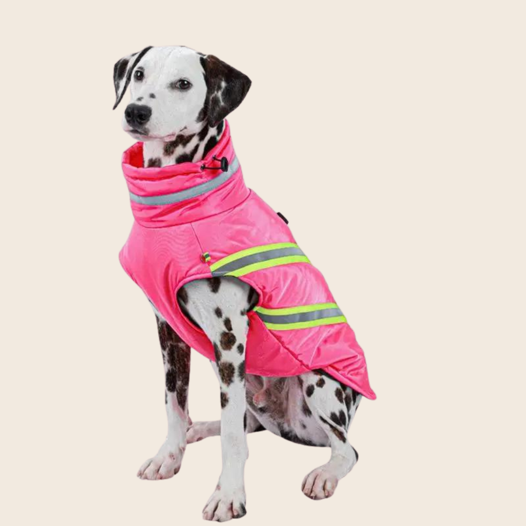 Winter Jacket for Dogs