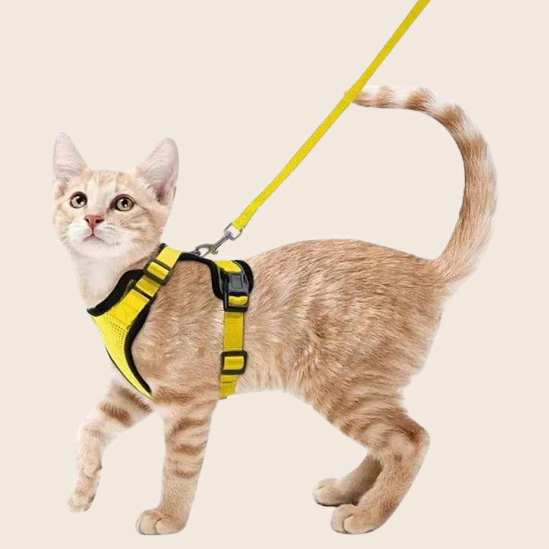 Atuban Cat Collar