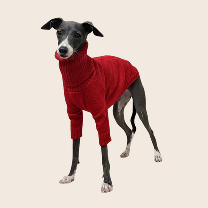 High-Neck Sweater for Dogs