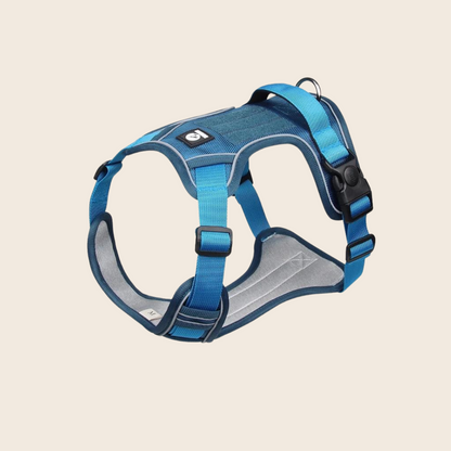 Dog Harness