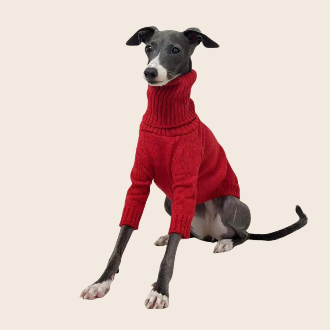 High-Neck Sweater for Dogs