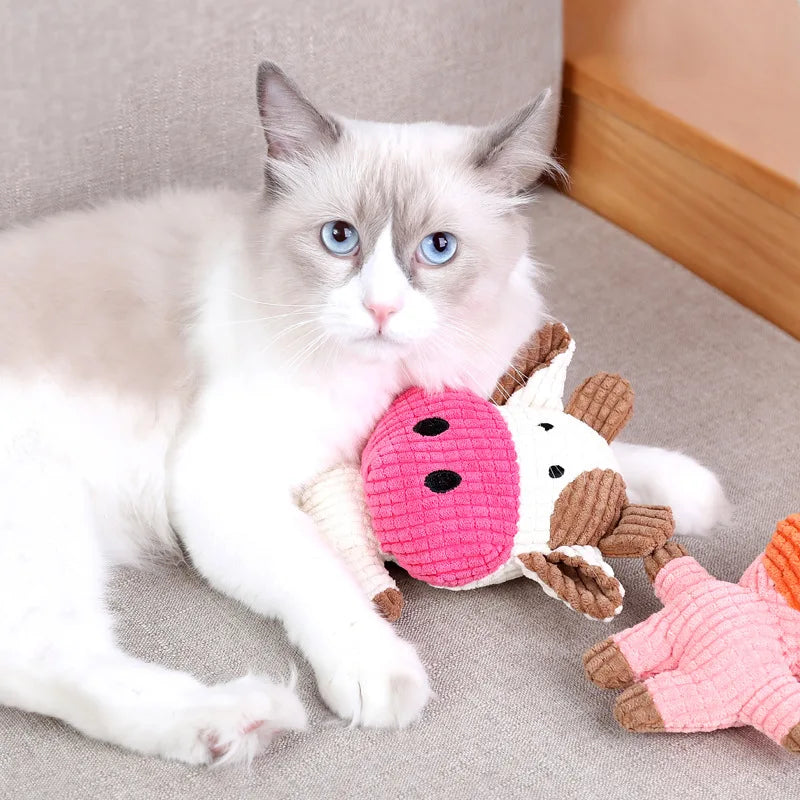 Plush Toys for Pets