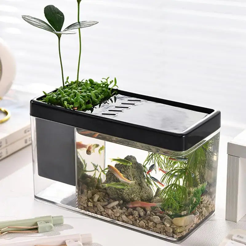 Mini Betta Aquarium