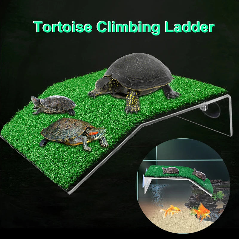 Turtle Bathing Platform