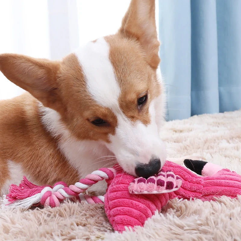 Plush Toys for Pets