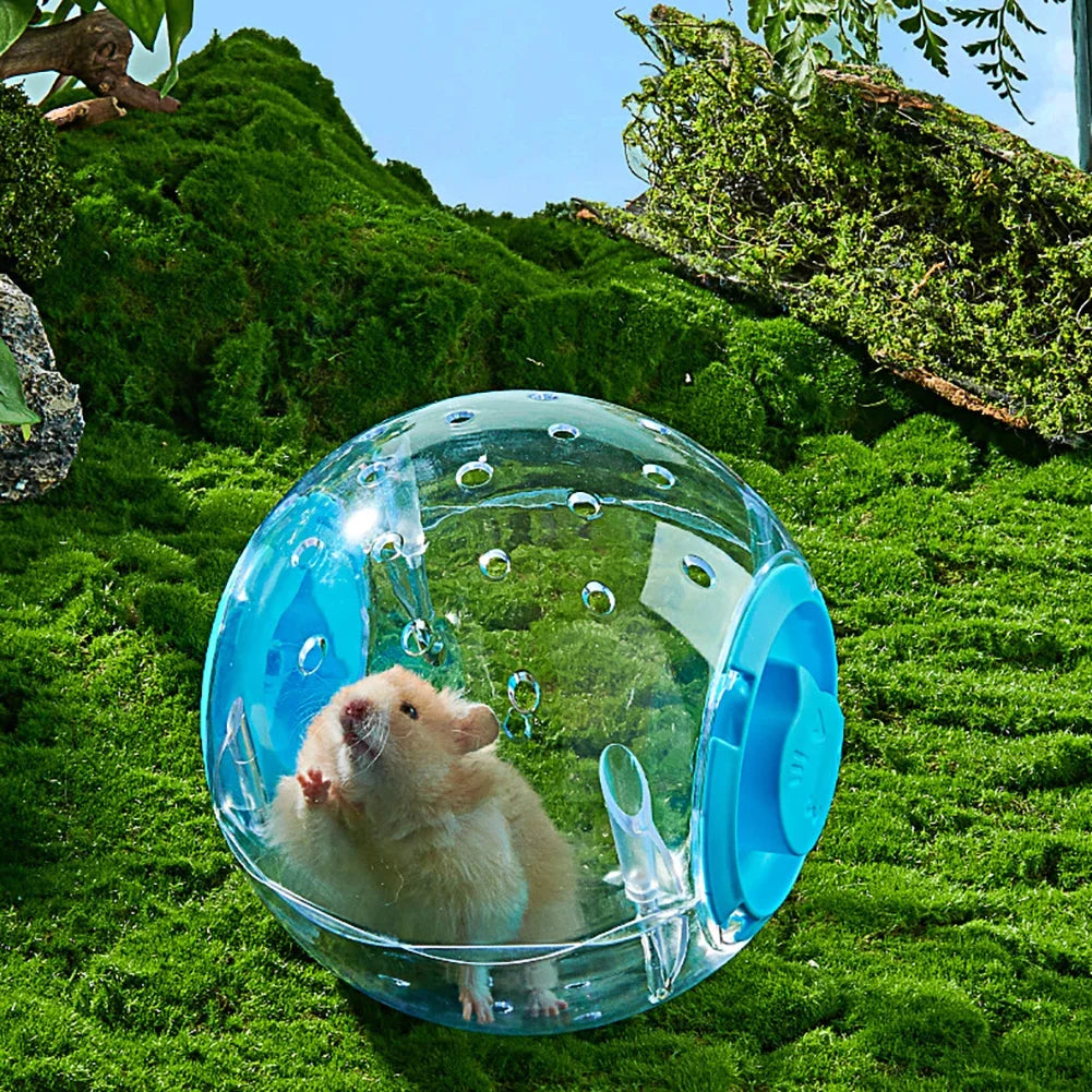 Hamster Exercise Ball