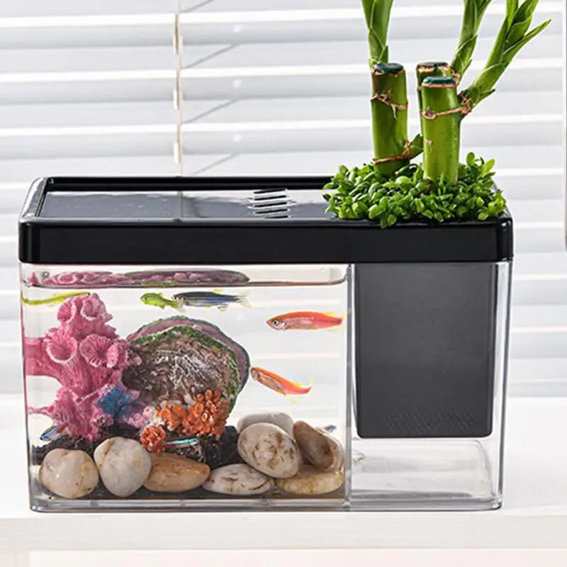 Mini Betta Aquarium