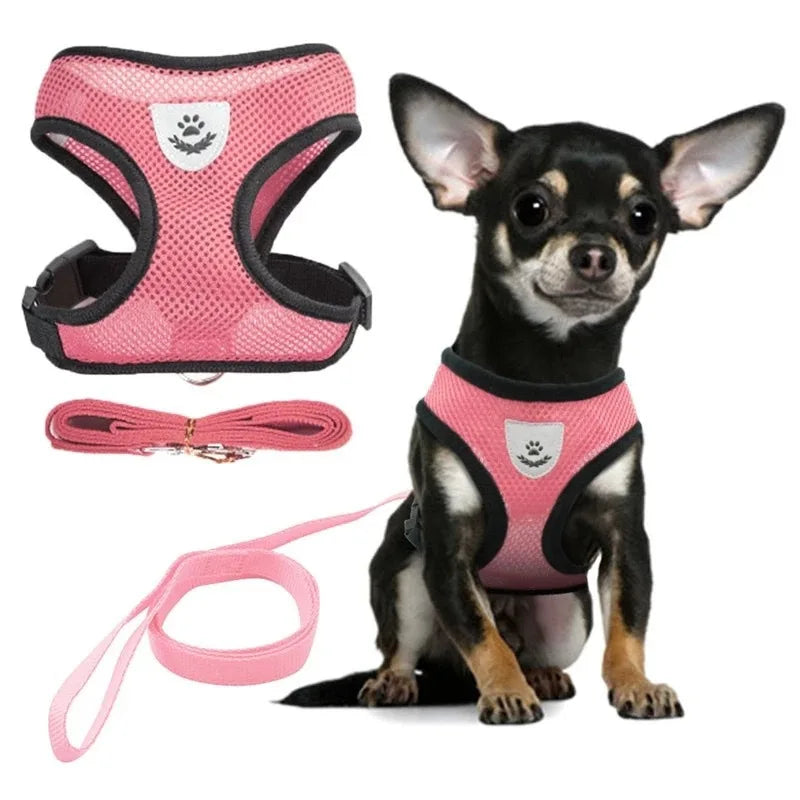 Julie Dog Harness Collar