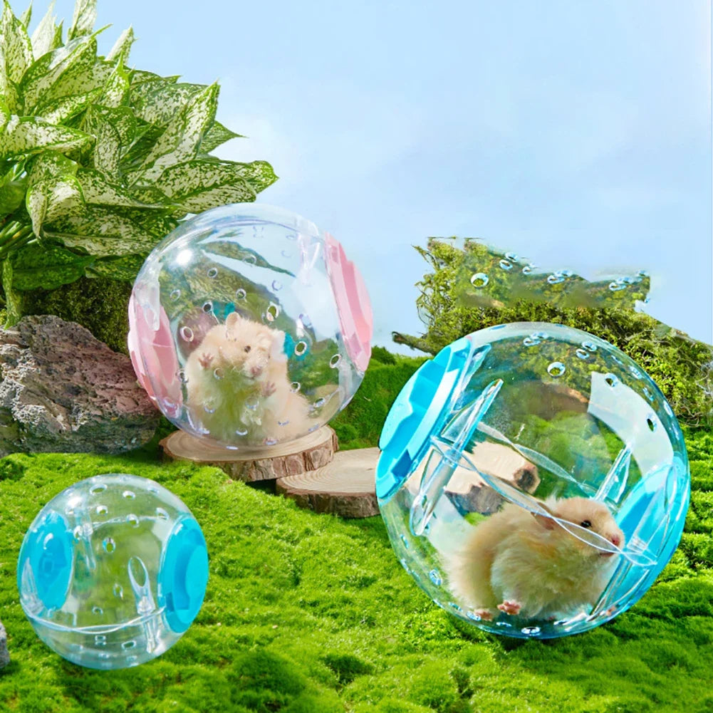 Hamster Exercise Ball