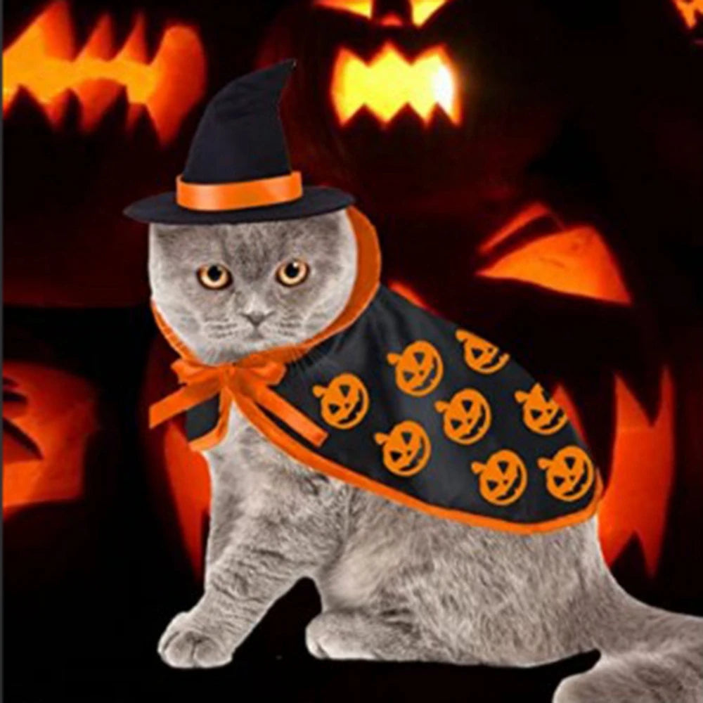 Witch Costume for Pets