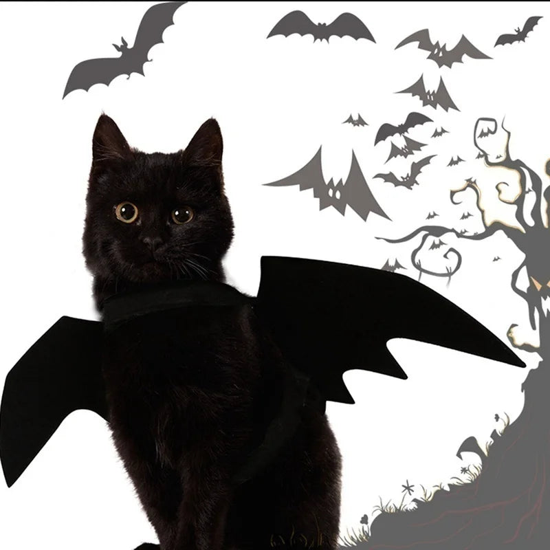 Bat Wing Cosplay for Pets