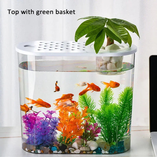 Eco-Friendly Tabletop Aquarium