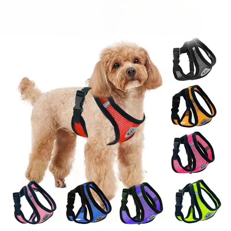 Julie Dog Harness Collar