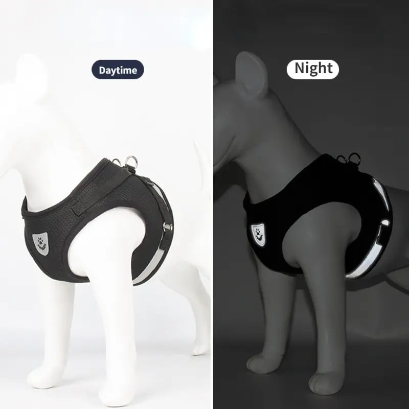 Eleven Dog Harness Collar