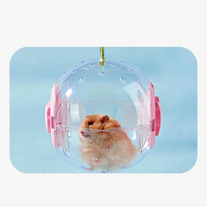 Hamster Exercise Ball