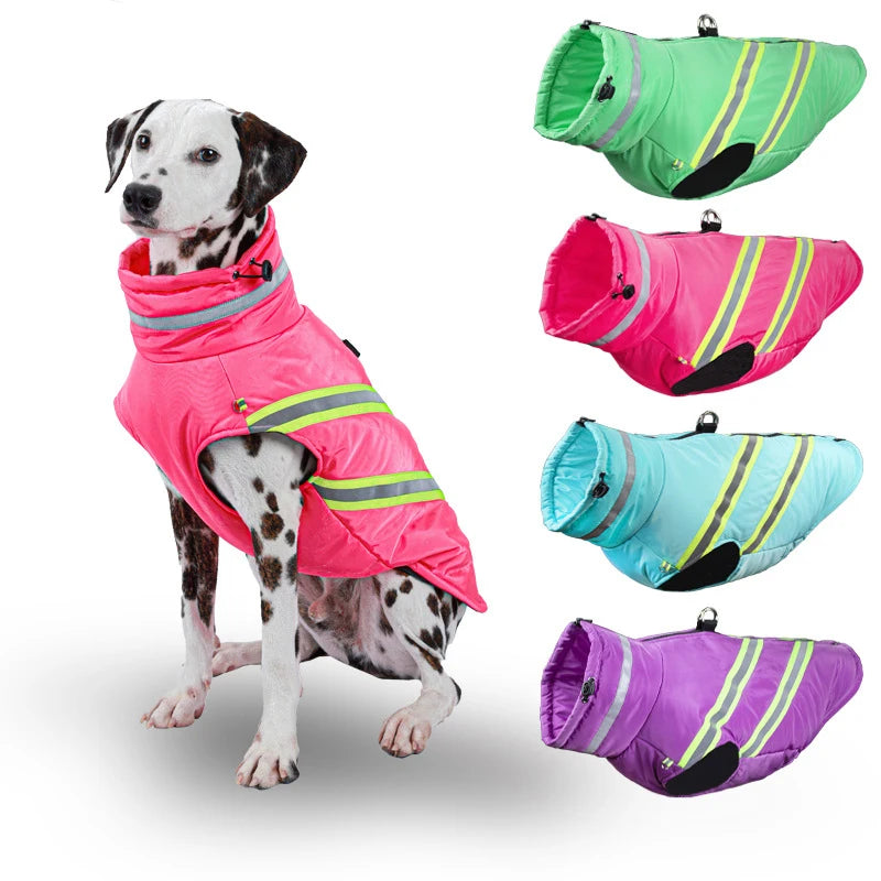 Winter Jacket for Dogs