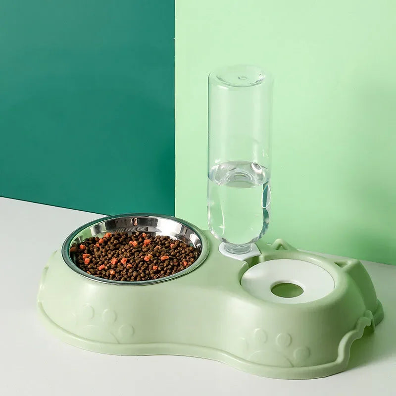 Pet Feeding Bowl