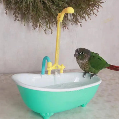 Bird Bath