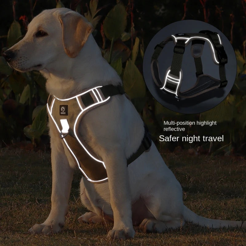 Dog Harness