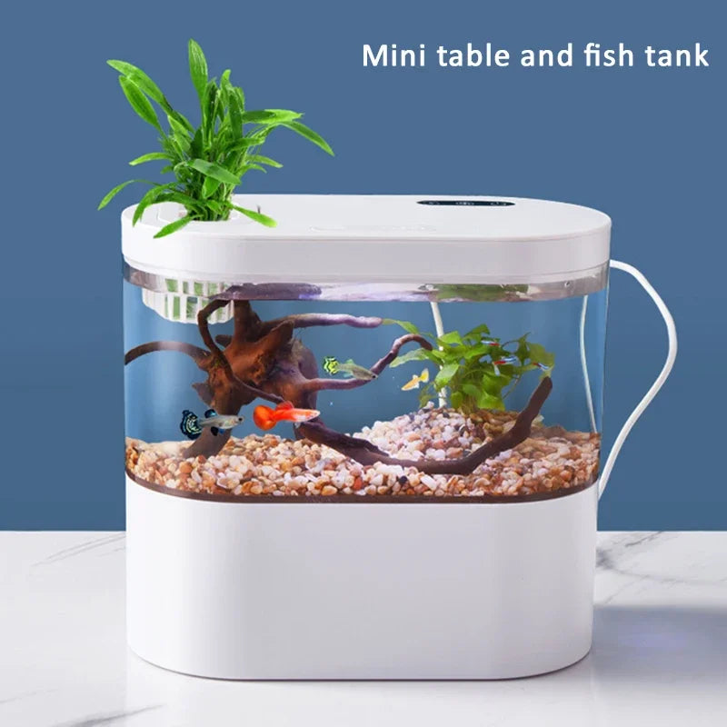 Creative Mini Tabletop Aquarium