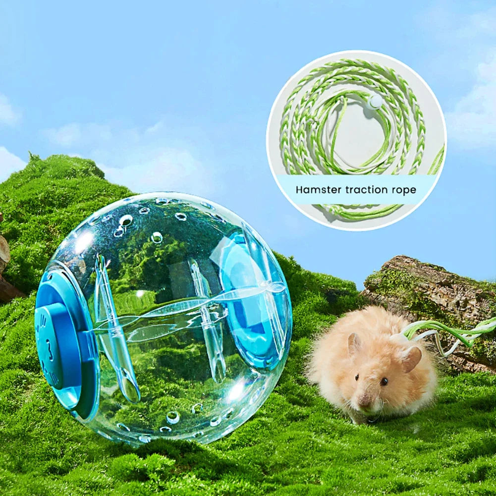 Hamster Exercise Ball