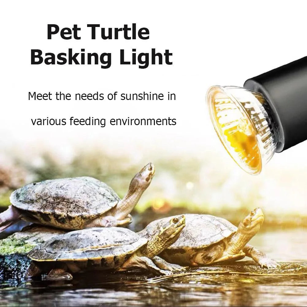 Reptile UV Heating Lamp