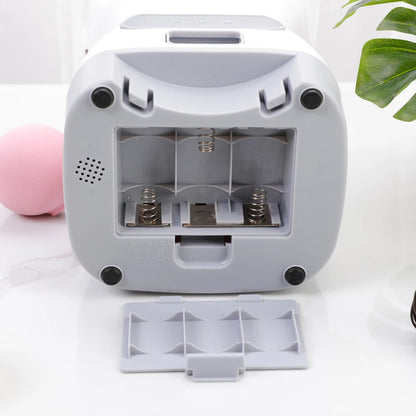 Automatic Pet Feeder