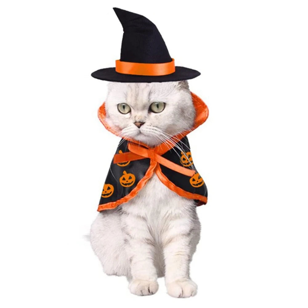 Witch Costume for Pets