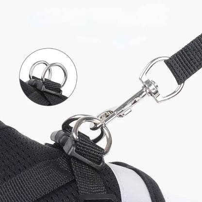 Eleven Dog Harness Collar