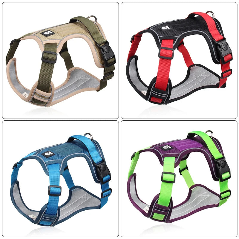 Dog Harness